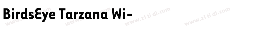 BirdsEye Tarzana Wi字体转换